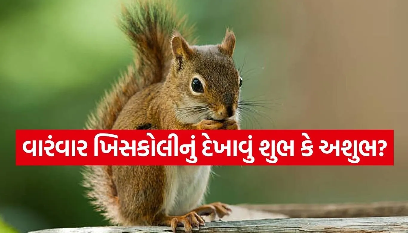 Copy of Satya web temp 32.jpg