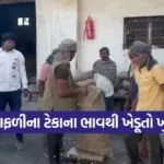 peanut procurement Gujarat 1