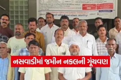naswadi farmers compensation 1