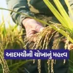 adamchini Rice Variety 1