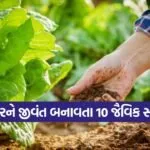 organic fertilizer methods 1