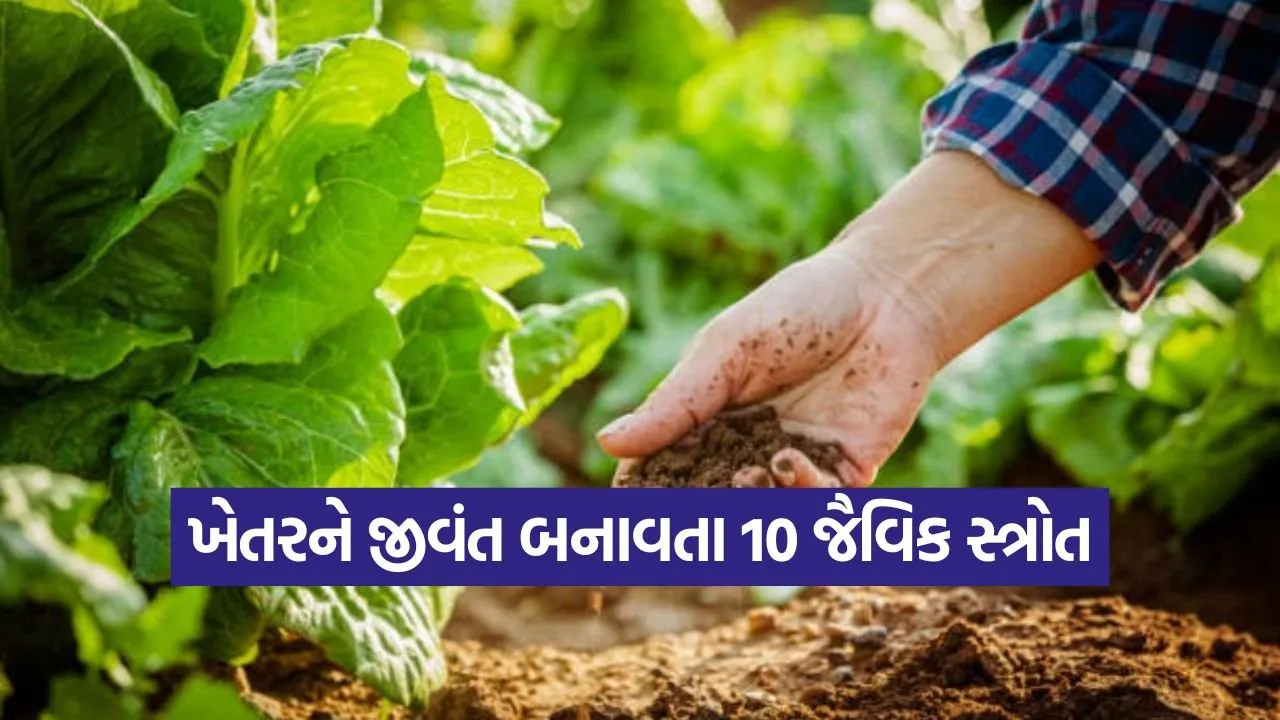 organic fertilizer methods 1.jpg