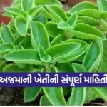 carom home gardening 1