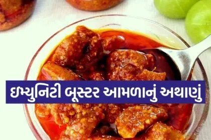 Amla Pickle