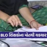 gujarat SIR BLO news 1