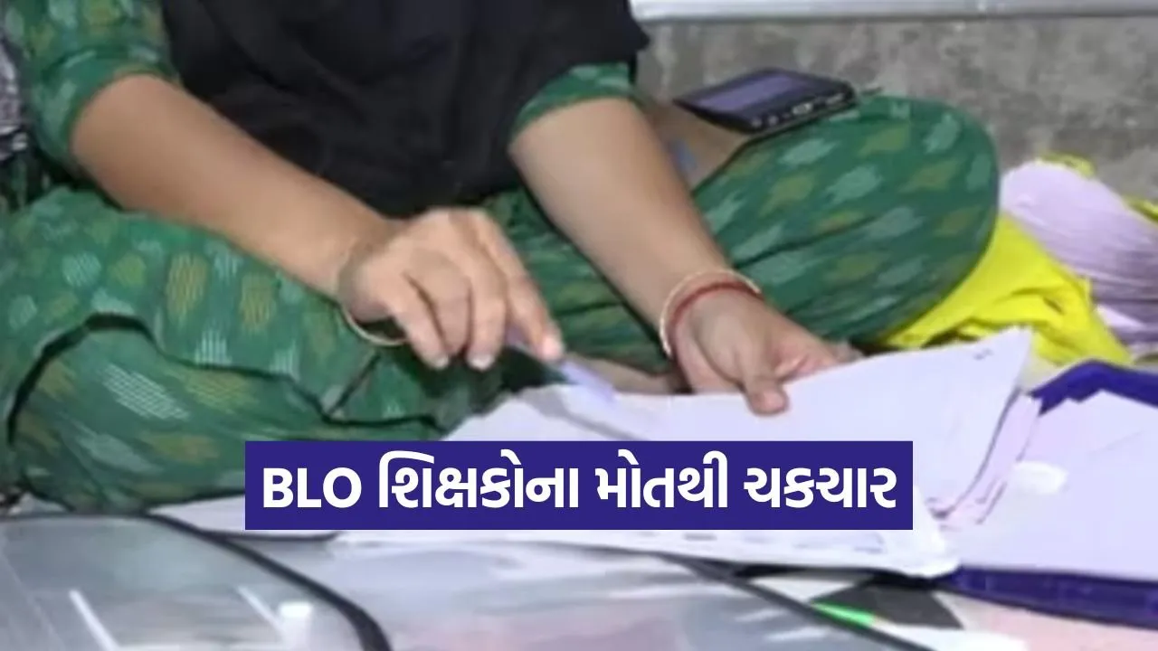gujarat SIR BLO news 1.jpg