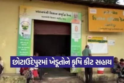 fertilizer seed kit chhota udaipur 1