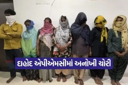 dahod apmc theft 1