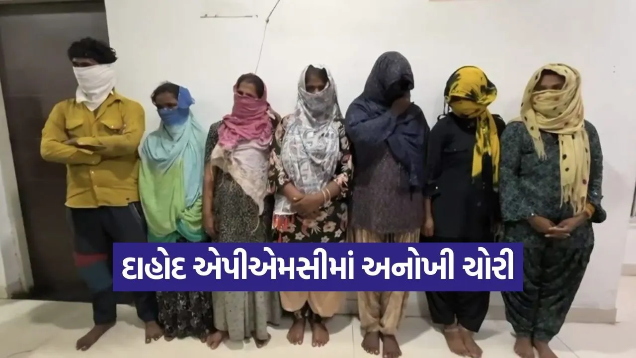 dahod apmc theft 1.jpg