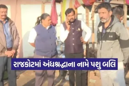 rajkot animal cruelty case 1