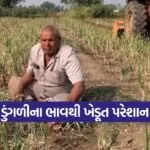 onion price crisis 1