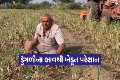 onion price crisis 1