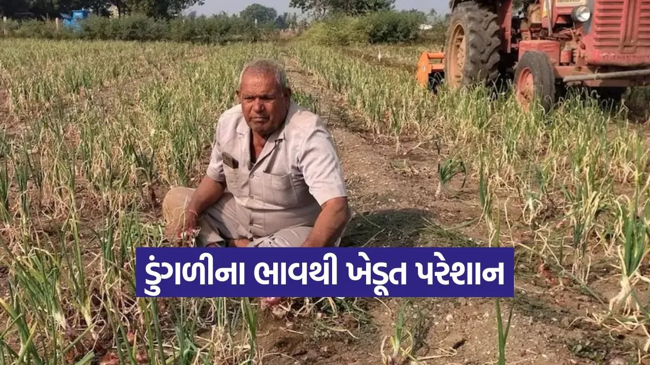 onion price crisis 1.jpg