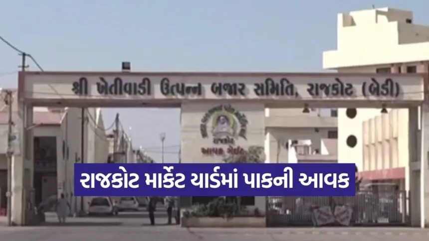 rajkot market yard rates