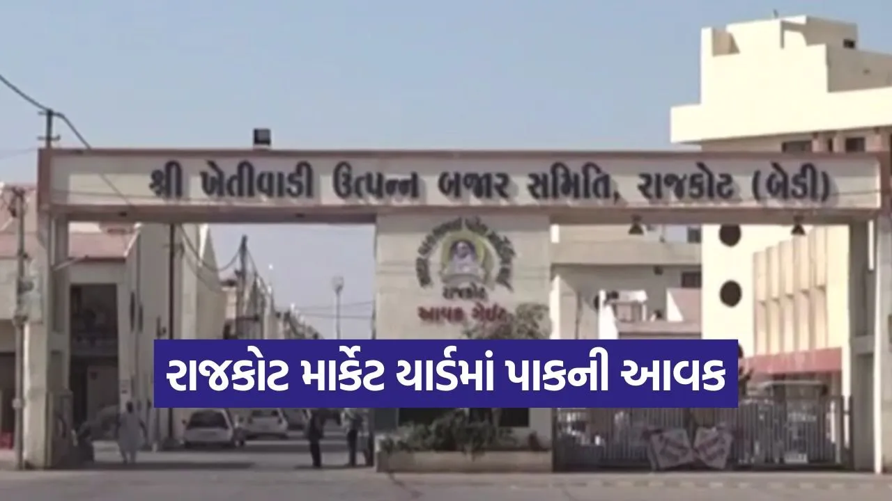 rajkot market yard rates.jpg