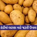 winter potato protection 1
