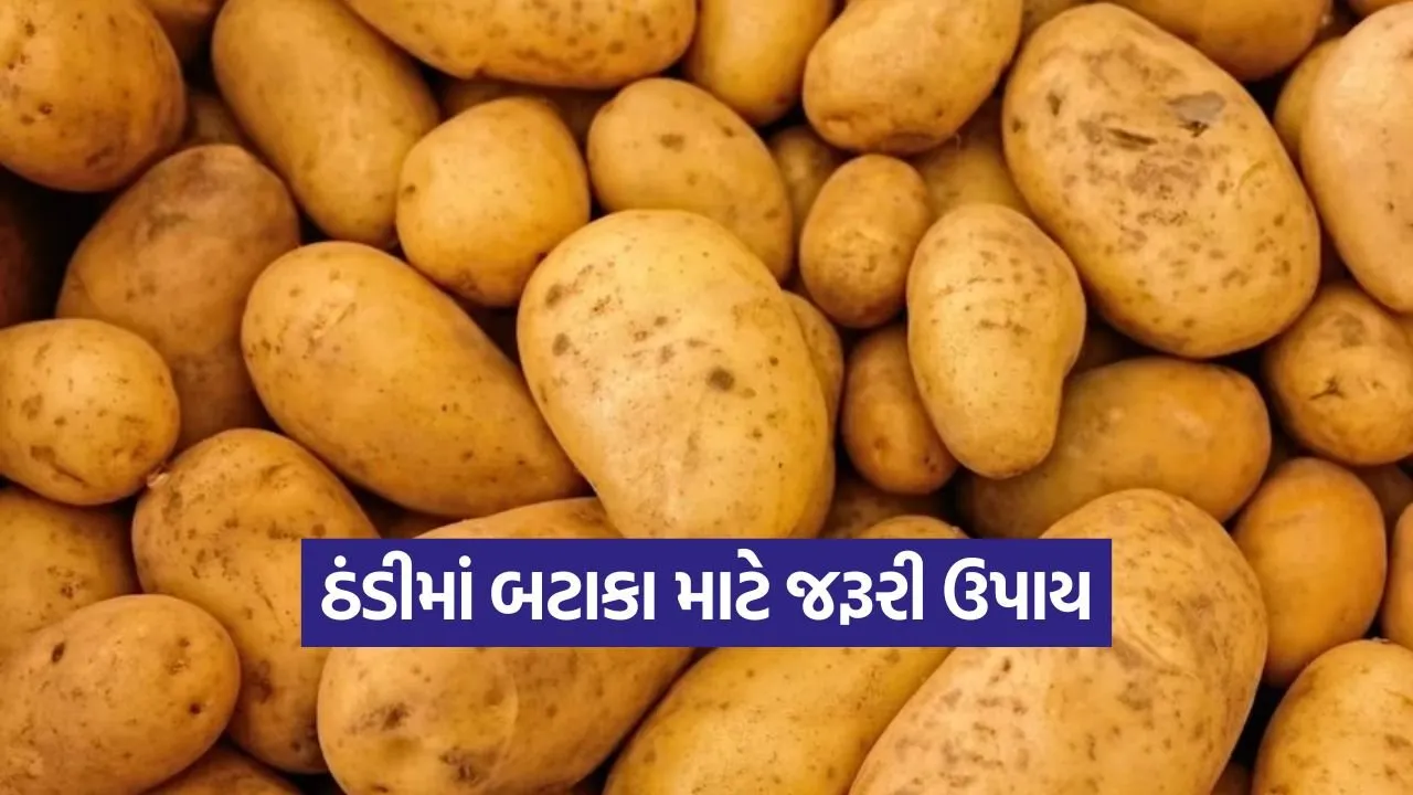winter potato protection 1.jpg