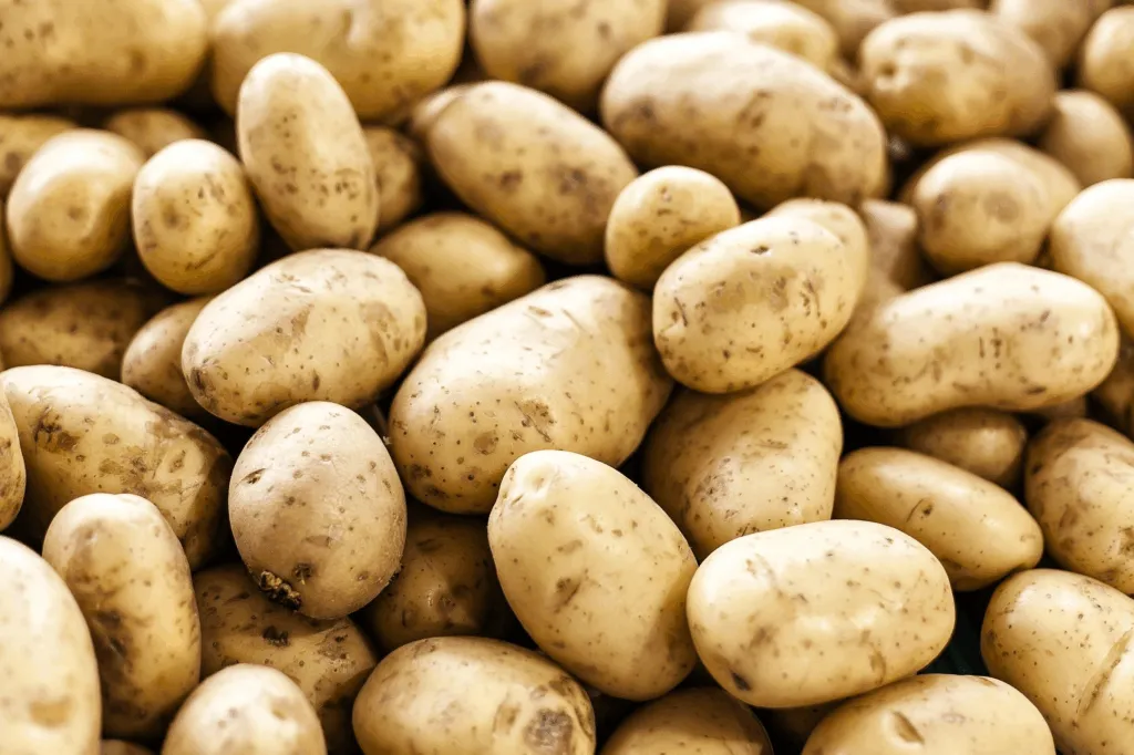 winter potato protection 1