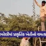 natural farming tuver experiment