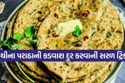 Fenugreek Parathas
