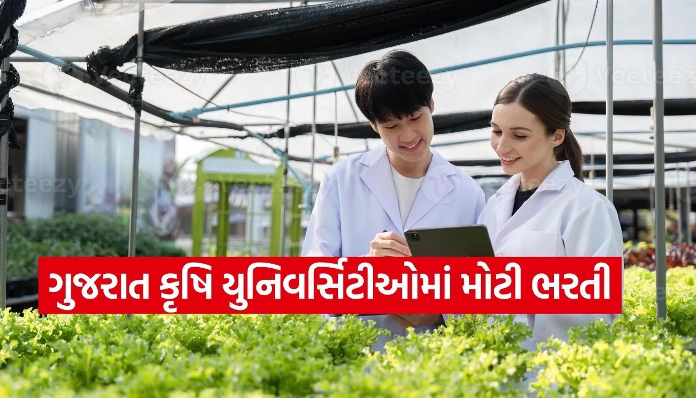Big recruitment in Gujarat Agricultural Universities