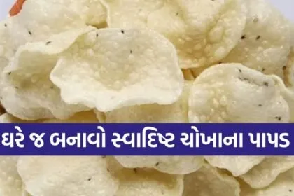 Rice papad