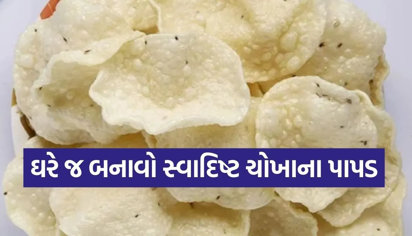 Rice papad