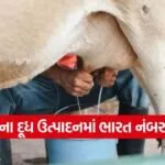 india cow milk production 1