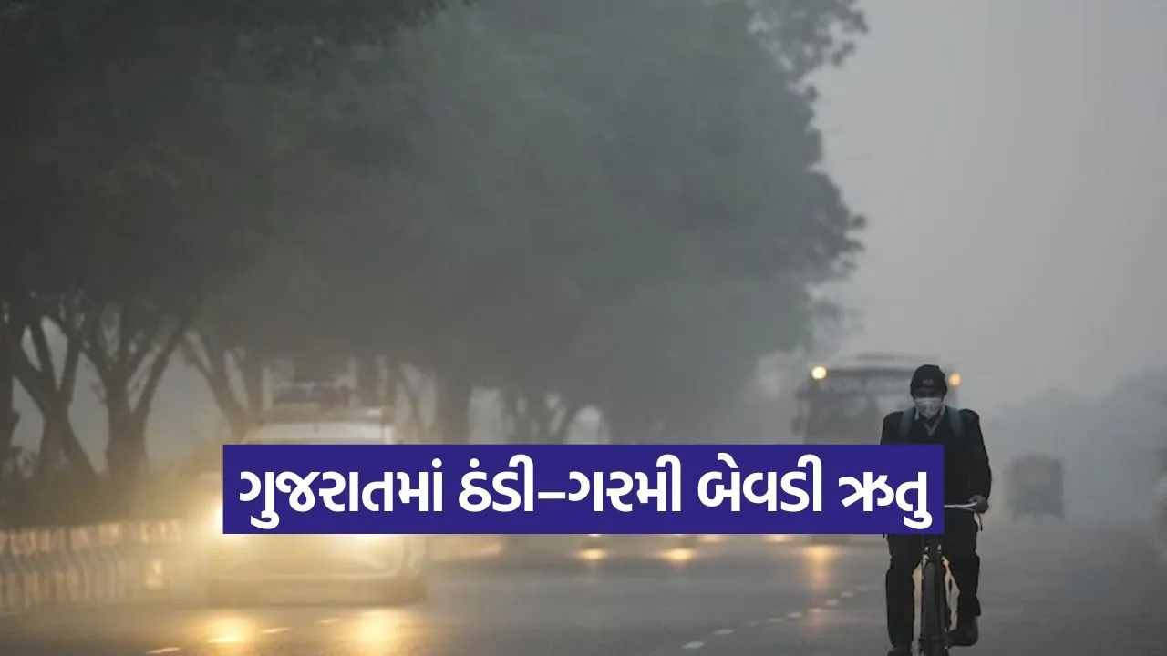 Gujarat Weather Forecast 5.jpg