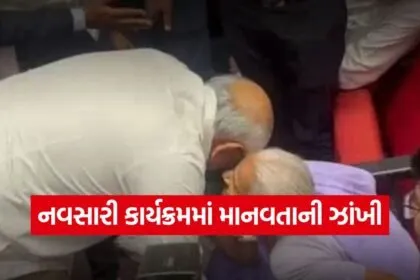 Gujarat CM Bhupendra Patel Navsari 1