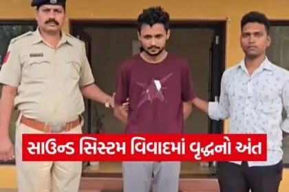 Bharuch home theater murder case 1