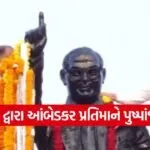 constitution day gandhinagar india 1