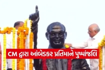constitution day gandhinagar india 1