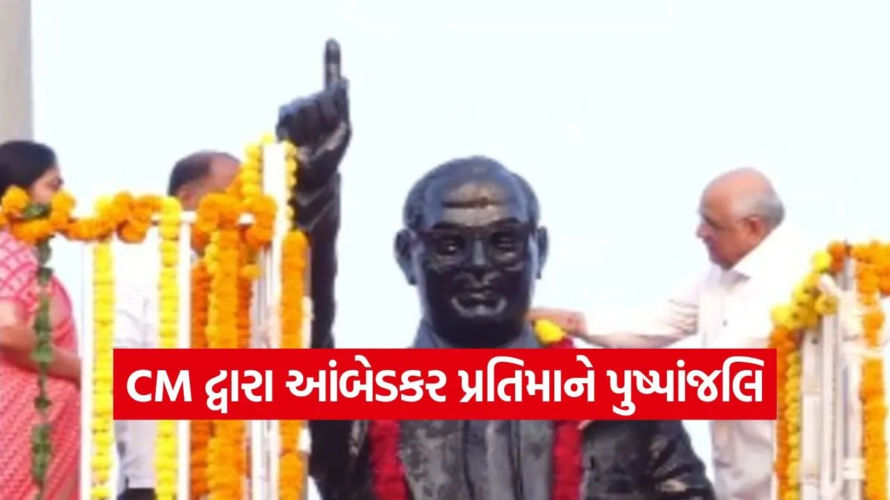 constitution day gandhinagar india 1.jpg