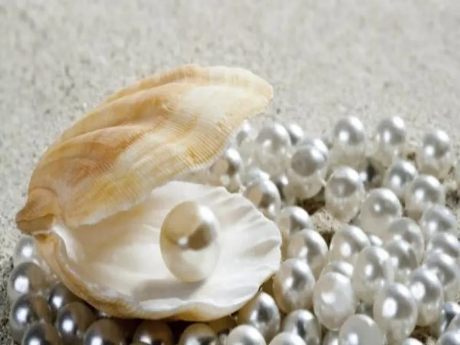 pearls