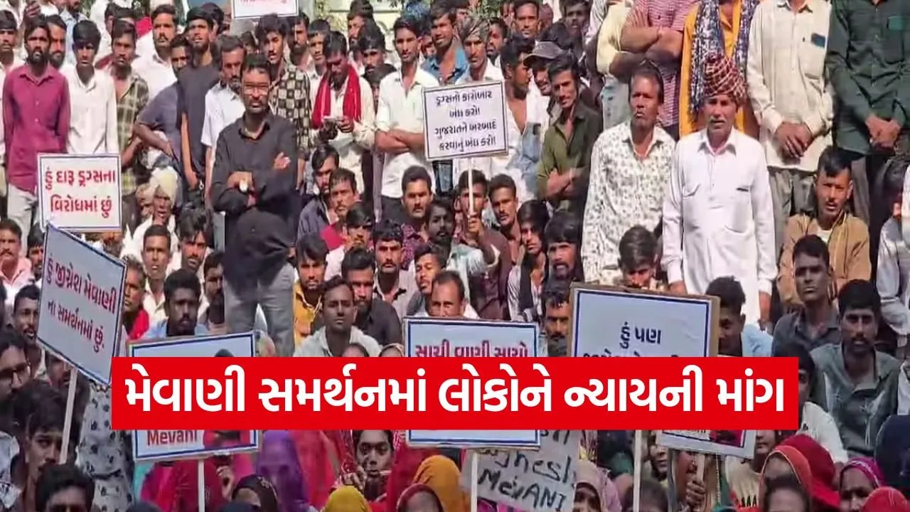support jignesh mevani protest 1.jpg