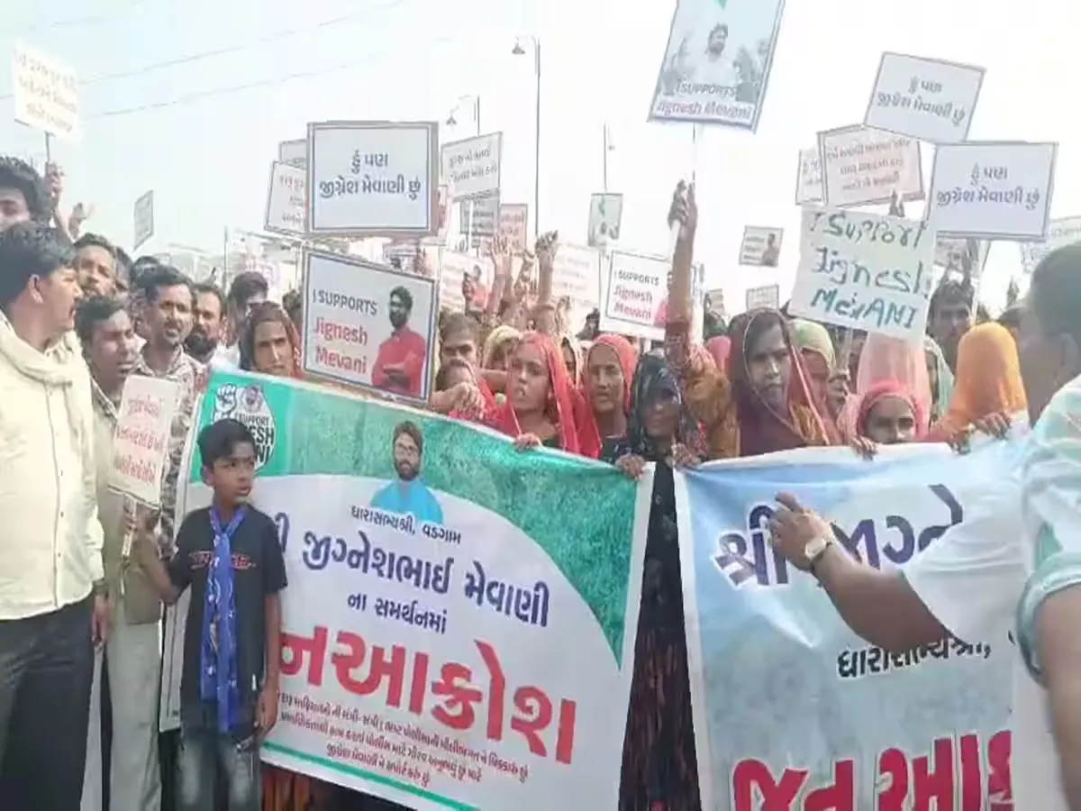 જીગ્નેશ મેવાણી સમર્થનમાં થરાદ-પાટણ-કચ્છમાં રેલી 3 support jignesh mevani protest 1.png