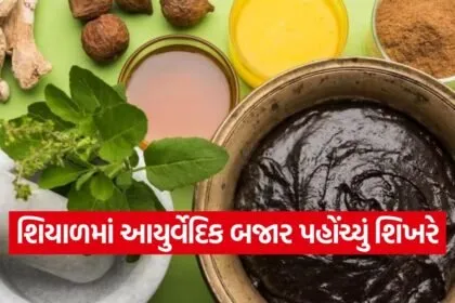 winter ayurvedic demand rajkot 1