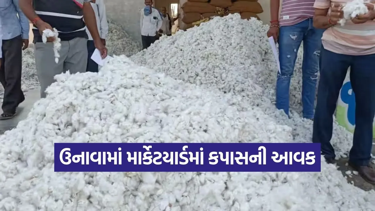 Unawa marketing yard Cotton 1.jpg