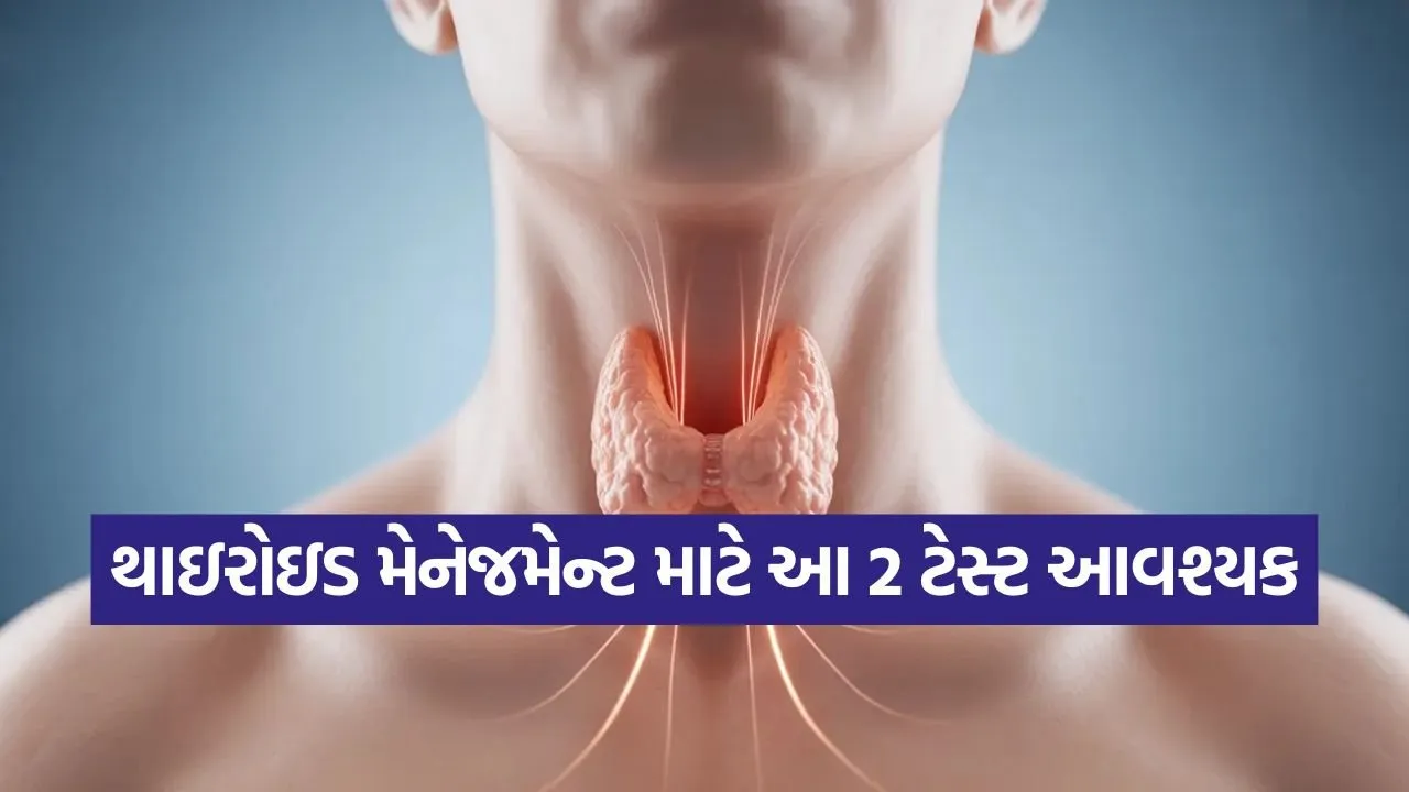 thyroid3.jpg