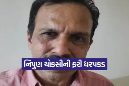 disproportionate assets nipun choksi 1