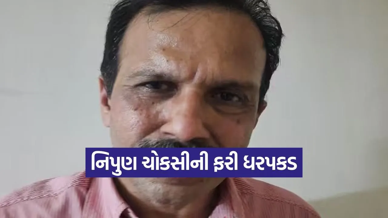 disproportionate assets nipun choksi 1.jpg