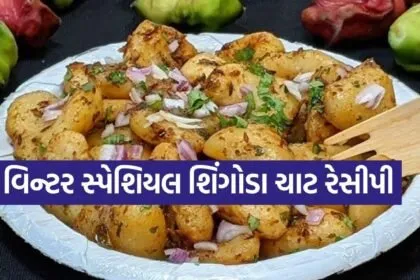 Shingoda Chaat