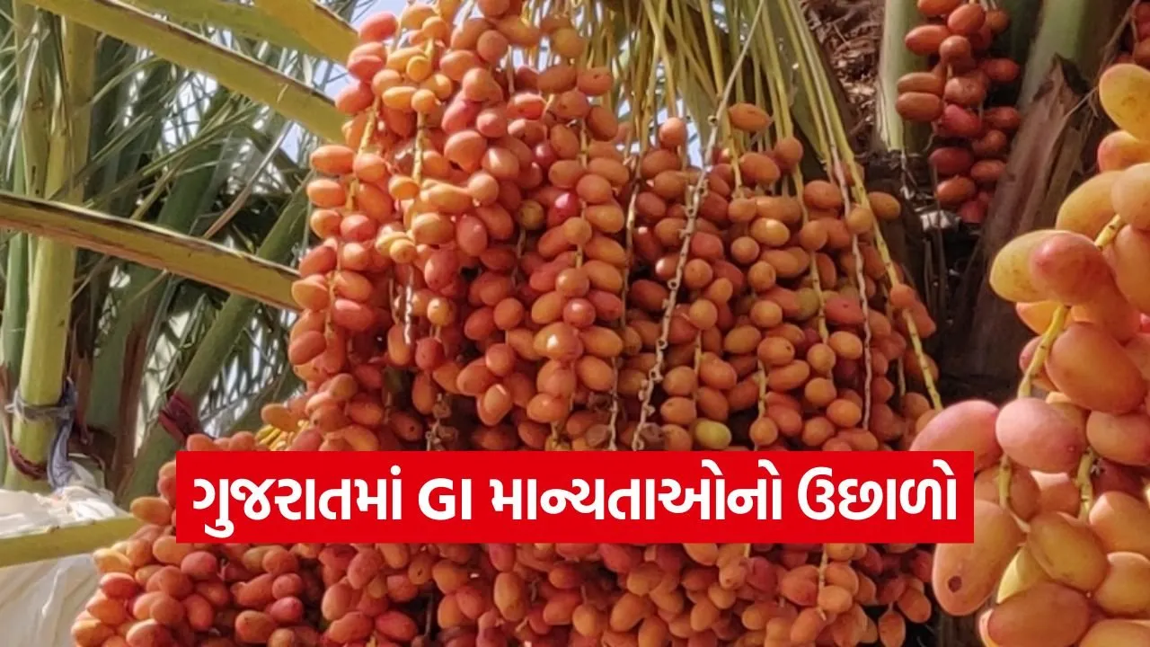 GI Tag gujarat 1.jpg