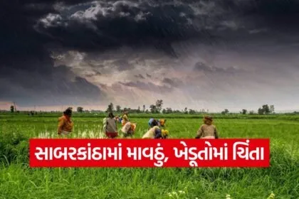 unseasonal rain gujarat 1