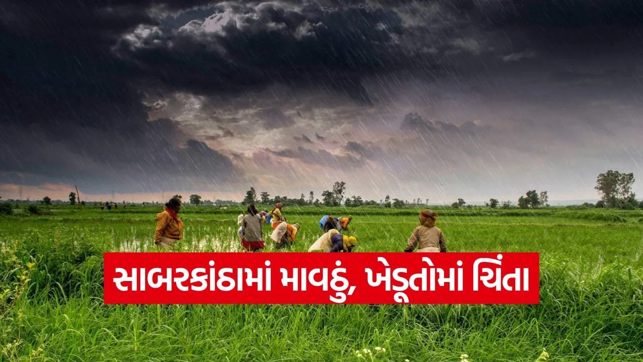 unseasonal rain gujarat 1.jpg