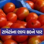 india 2025 11 27T155712.243