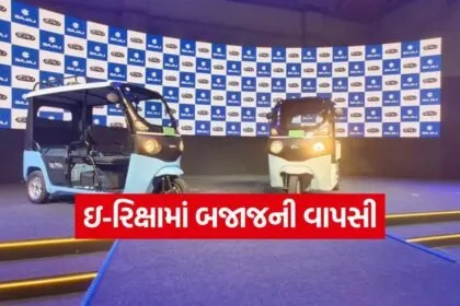 e riksha