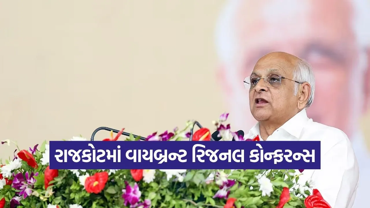 vibrant gujarat rajkot conference 1.jpg