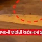 Ahmedabad restaurant hygiene violation 1